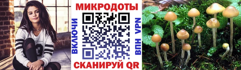 Псилоцибиновые грибы Psilocybe  Уржум 